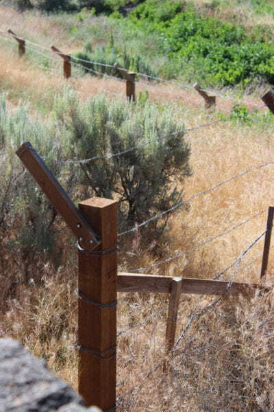 Minidoka Pilgrimage II 056, WordPress2