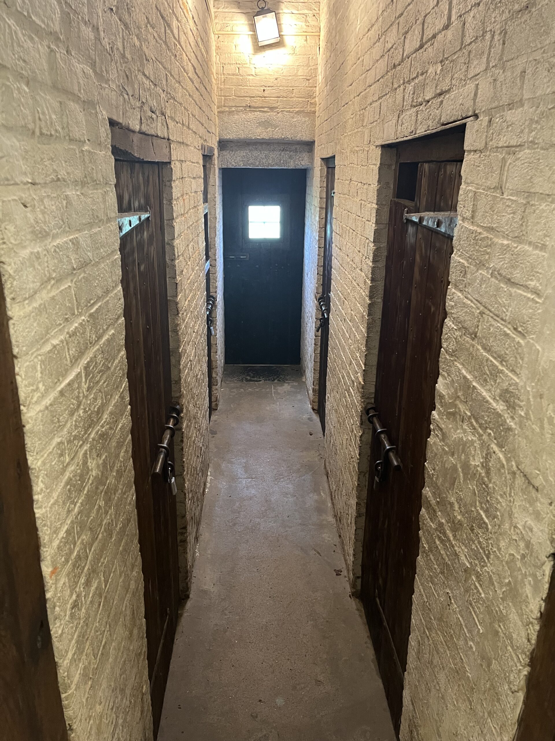 Carlisle School Cells